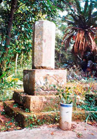 菊池竹庵の墓