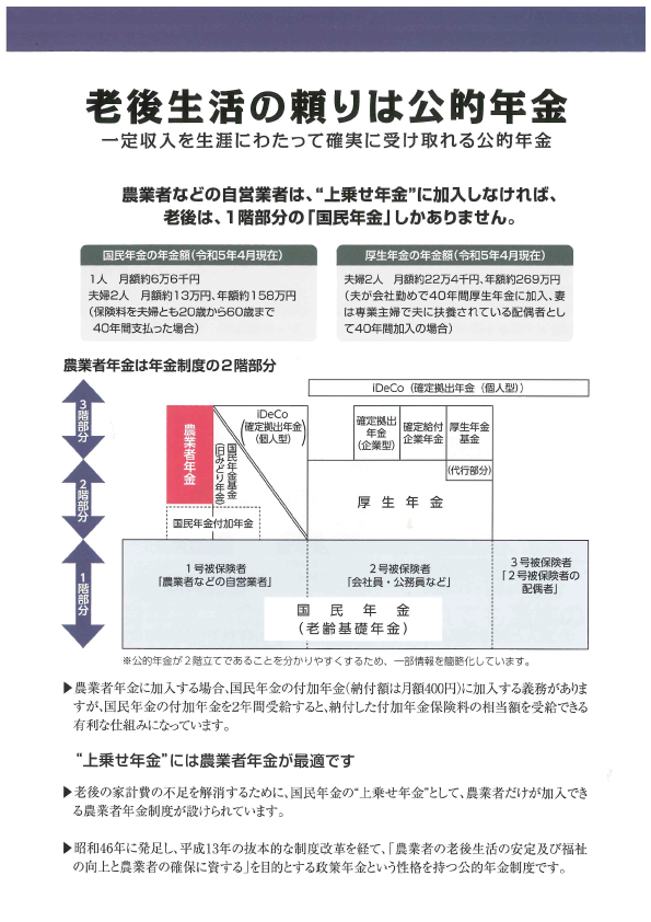 老後生活の頼りは公的年金